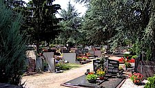 Friedhof_Weg_begruent_g.jpg  