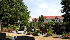 Friedhof_Reihengraeber_g.jpg  